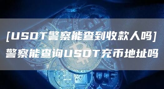 [USDT警察能查到收款人吗]警察能查询USDT充币地址吗