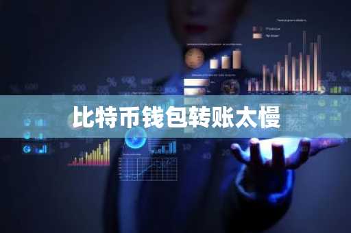 比特币钱包转账太慢