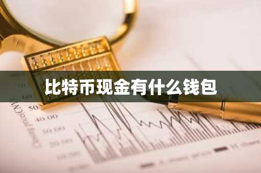 比特币现金有什么钱包