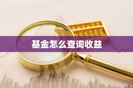 基金怎么查询收益