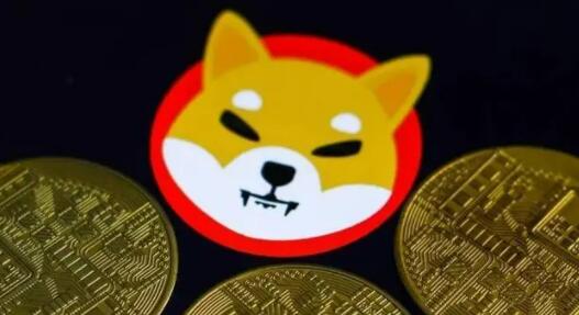柴犬币五年后能涨多少(柴犬币涨幅多少)