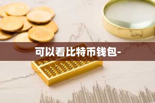 可以看比特币钱包-