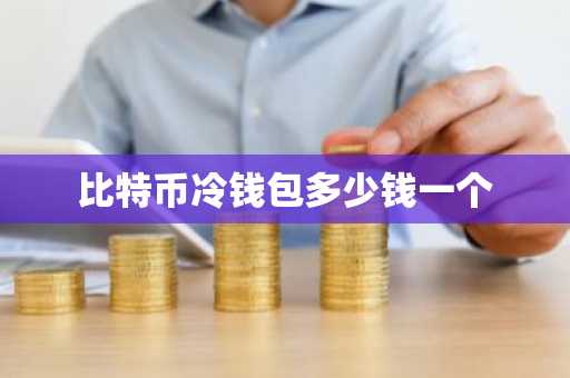比特币冷钱包多少钱一个
