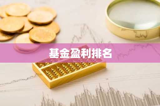 基金盈利排名