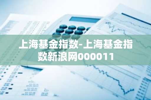 上海基金指数-上海基金指数新浪网000011