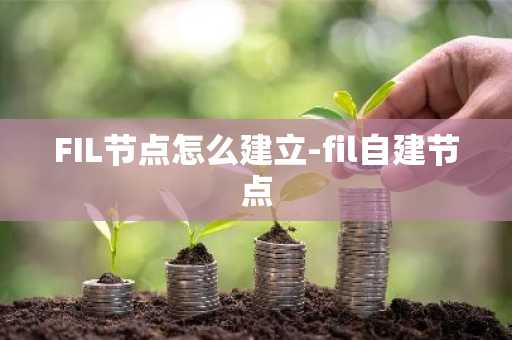 FIL节点怎么建立-fil自建节点