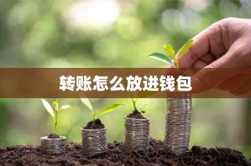 转账怎么放进钱包