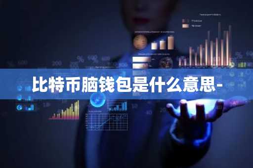 比特币脑钱包是什么意思-