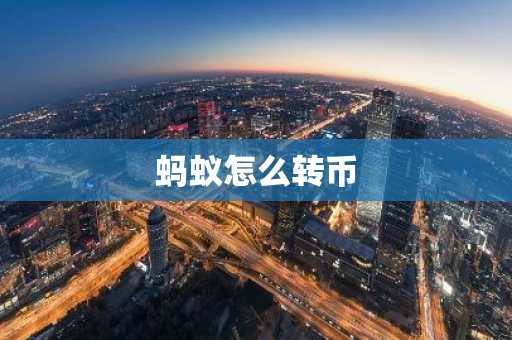 蚂蚁怎么转币