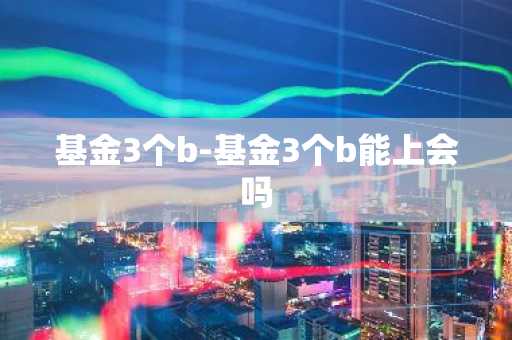 基金3个b-基金3个b能上会吗