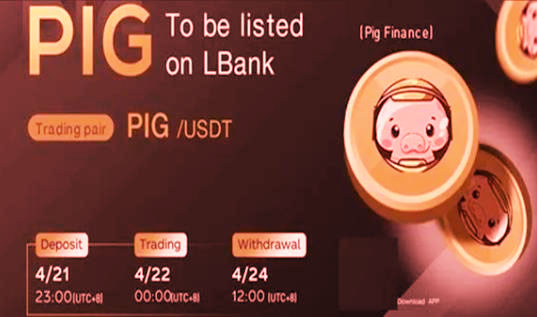 pig币交易平台APP pig币app交易所下载地址