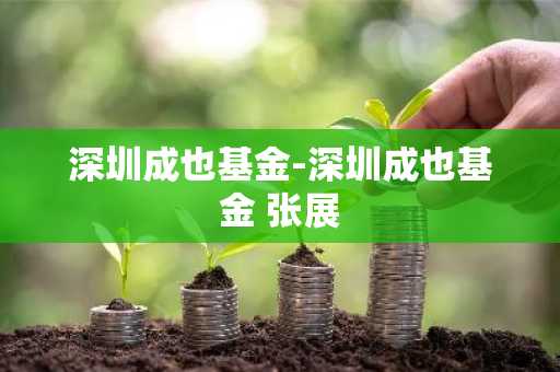 深圳成也基金-深圳成也基金 张展