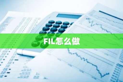 FIL怎么做