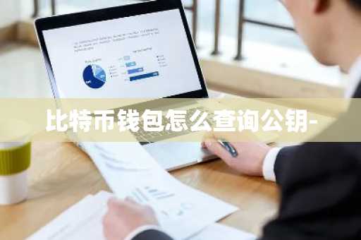 比特币钱包怎么查询公钥-