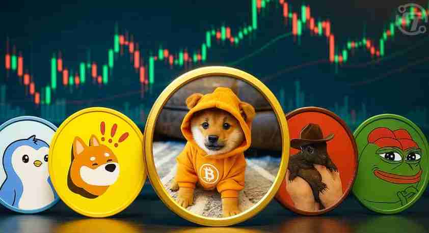 Dogecoin，云采矿和风险警报：导航模因雷区