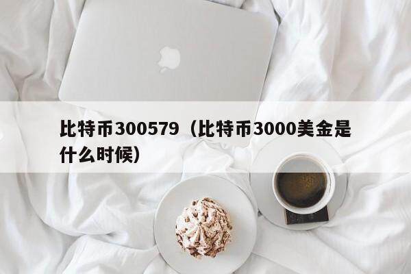 比特币300579（比特币3000美金是什么时候）