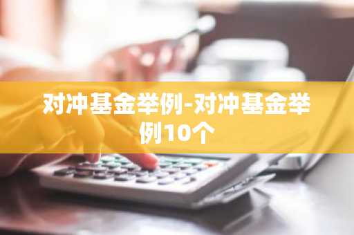 对冲基金举例-对冲基金举例10个