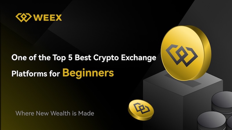 Weex交易所官网 Weex交易所官网注册指南