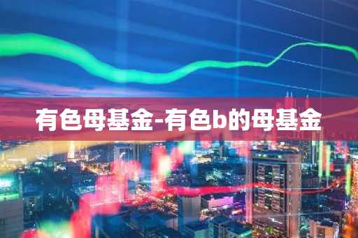 有色母基金-有色b的母基金