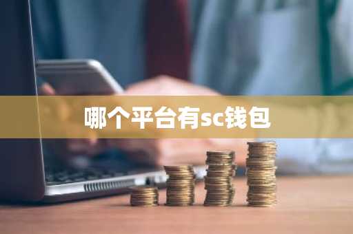 哪个平台有sc钱包
