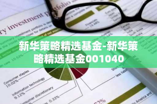 新华策略精选基金-新华策略精选基金001040