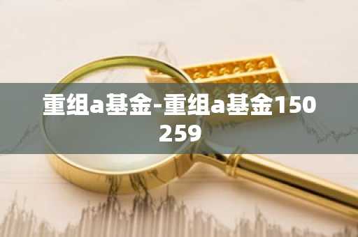重组a基金-重组a基金150259