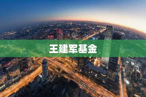 王建军基金