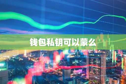 钱包私钥可以蒙么