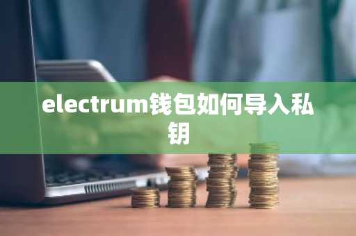electrum钱包如何导入私钥