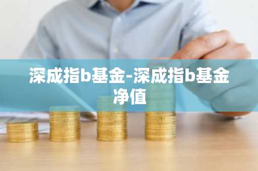 深成指b基金-深成指b基金净值
