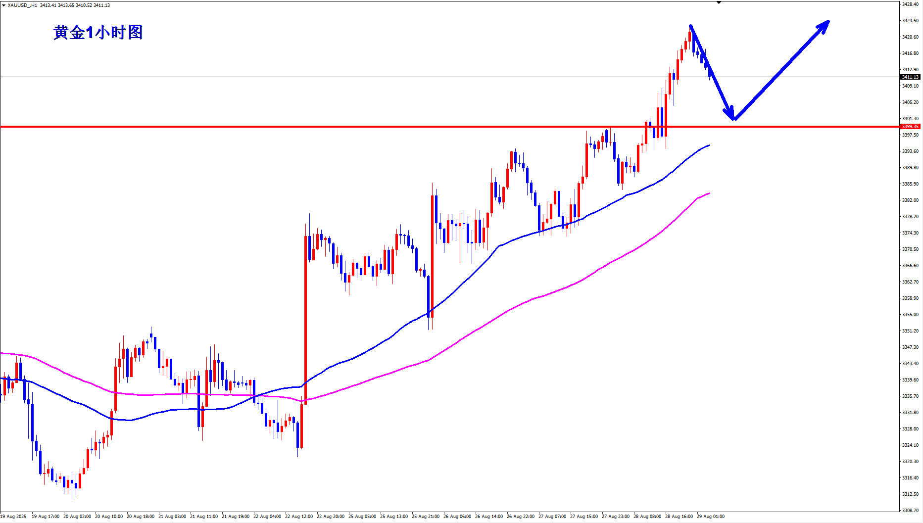 王杨：黄金一路做多大涨收割，早盘回落继续多！