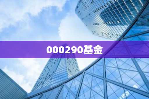 000290基金
