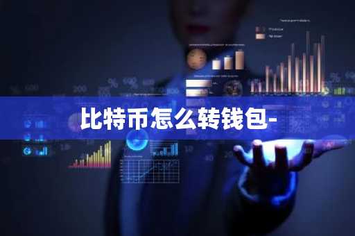 比特币怎么转钱包-
