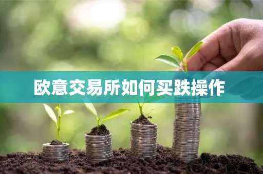 欧意交易所如何买跌操作