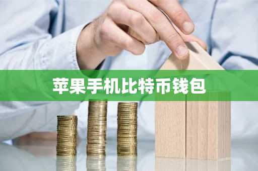 苹果手机比特币钱包