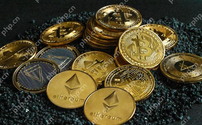 山寨币基本面分析法：如何评估项目价值？