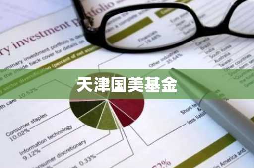 天津国美基金
