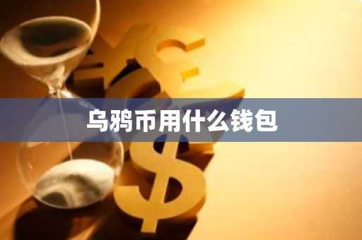 乌鸦币用什么钱包