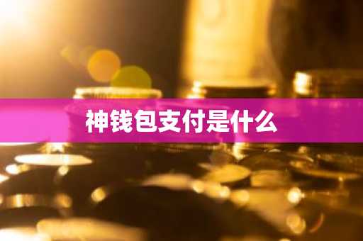 神钱包支付是什么