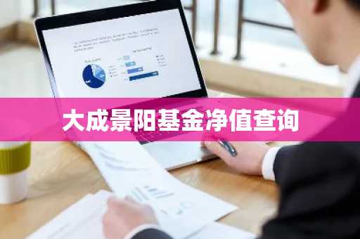 大成景阳基金净值查询