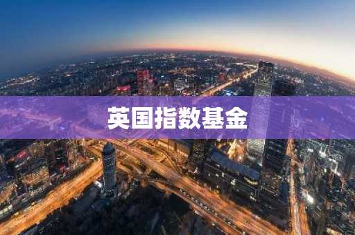 英国指数基金