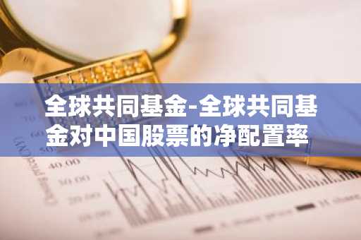 全球共同基金-全球共同基金对中国股票的净配置率 最高水平