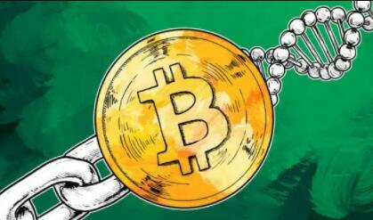 马斯克狗狗币(马斯克狗狗币为了并不富裕的人)