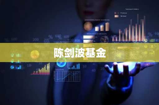 陈剑波基金