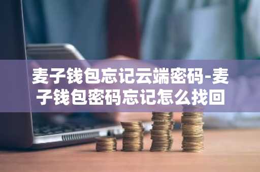 麦子钱包忘记云端密码-麦子钱包密码忘记怎么找回