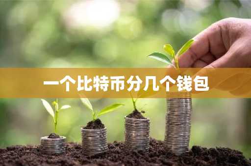 一个比特币分几个钱包