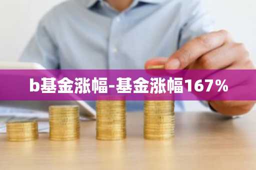 b基金涨幅-基金涨幅167%