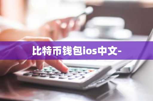 比特币钱包ios中文-
