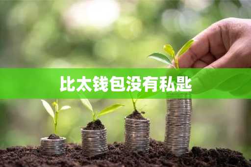 比太钱包没有私匙