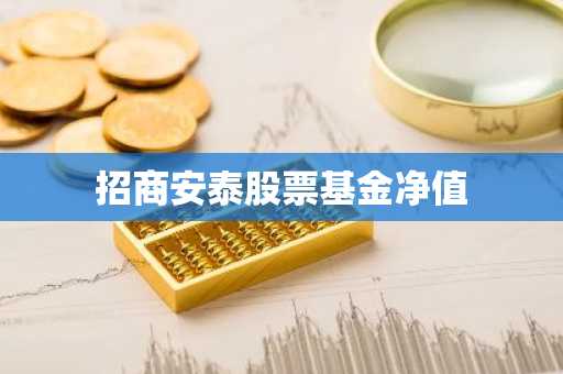 招商安泰股票基金净值